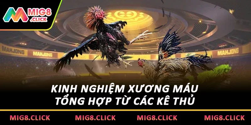 Kinh nghiệm xương máu tổng hợp từ các kê thủ 